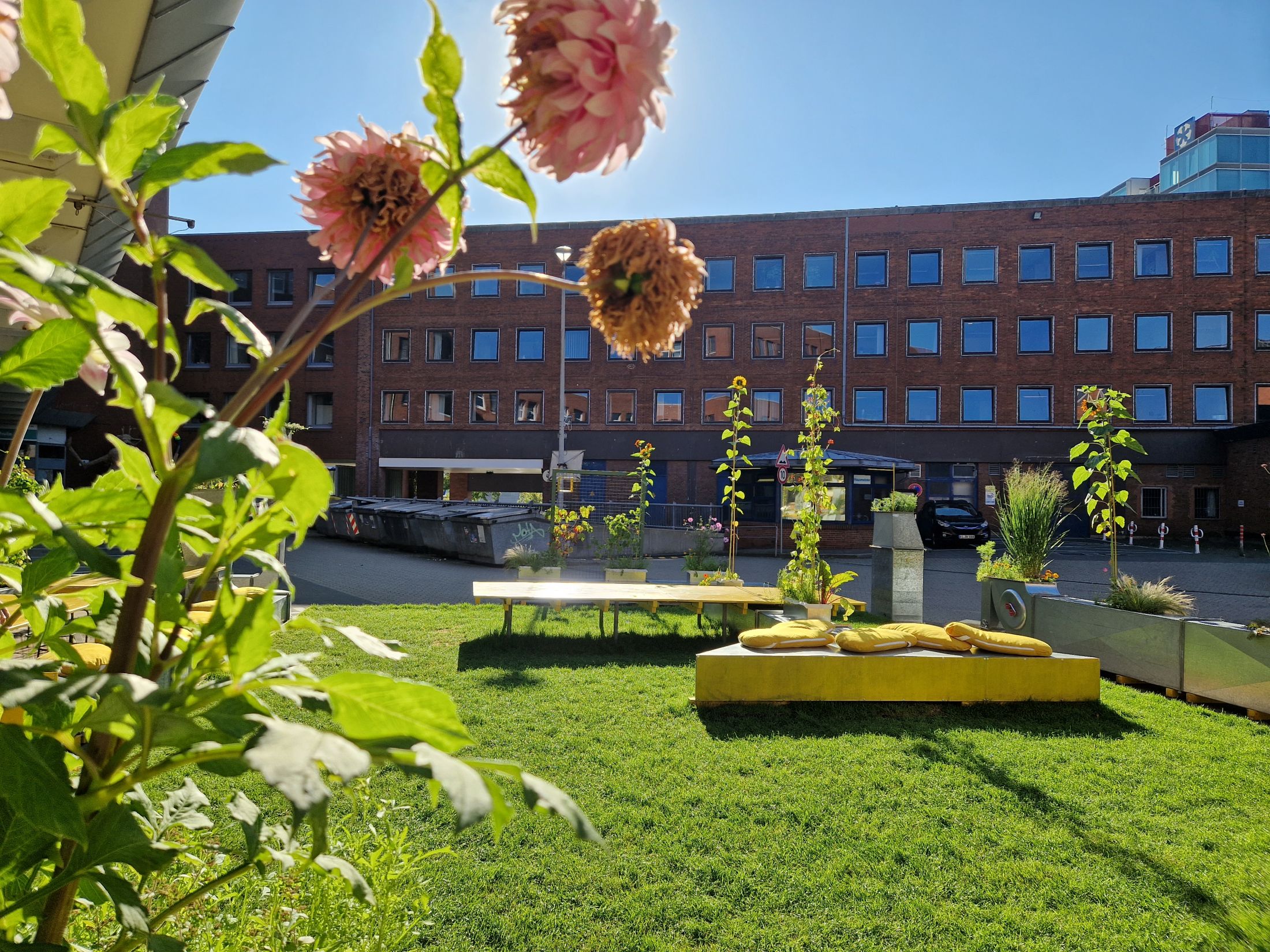 Amt für<br>Kultur und <br>Weiter<br>bildung Kiel